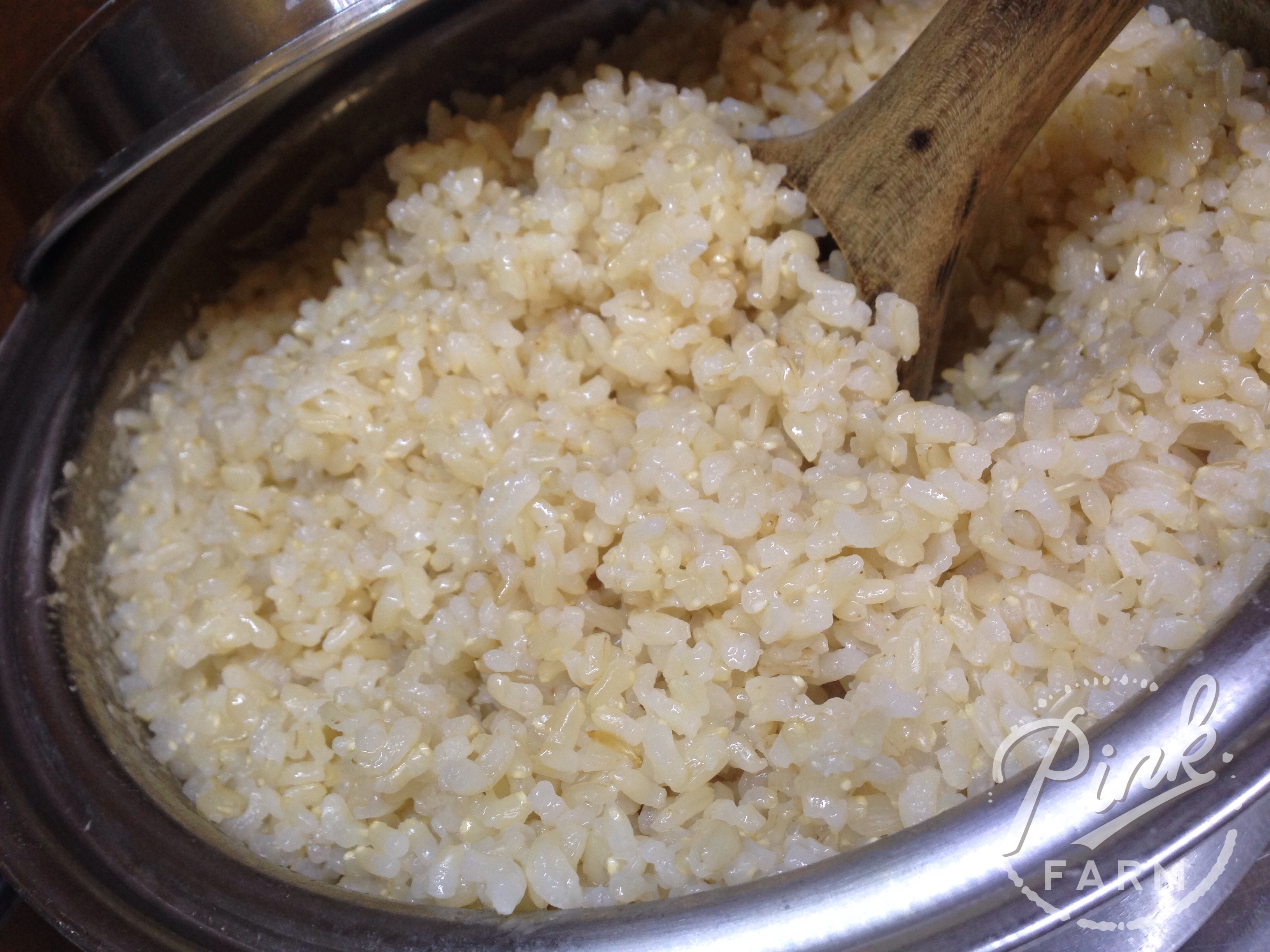 Brown Rice Fat 47